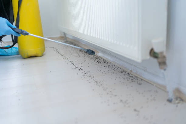 Best Best Pest Control Companies  in Lake Park, FL